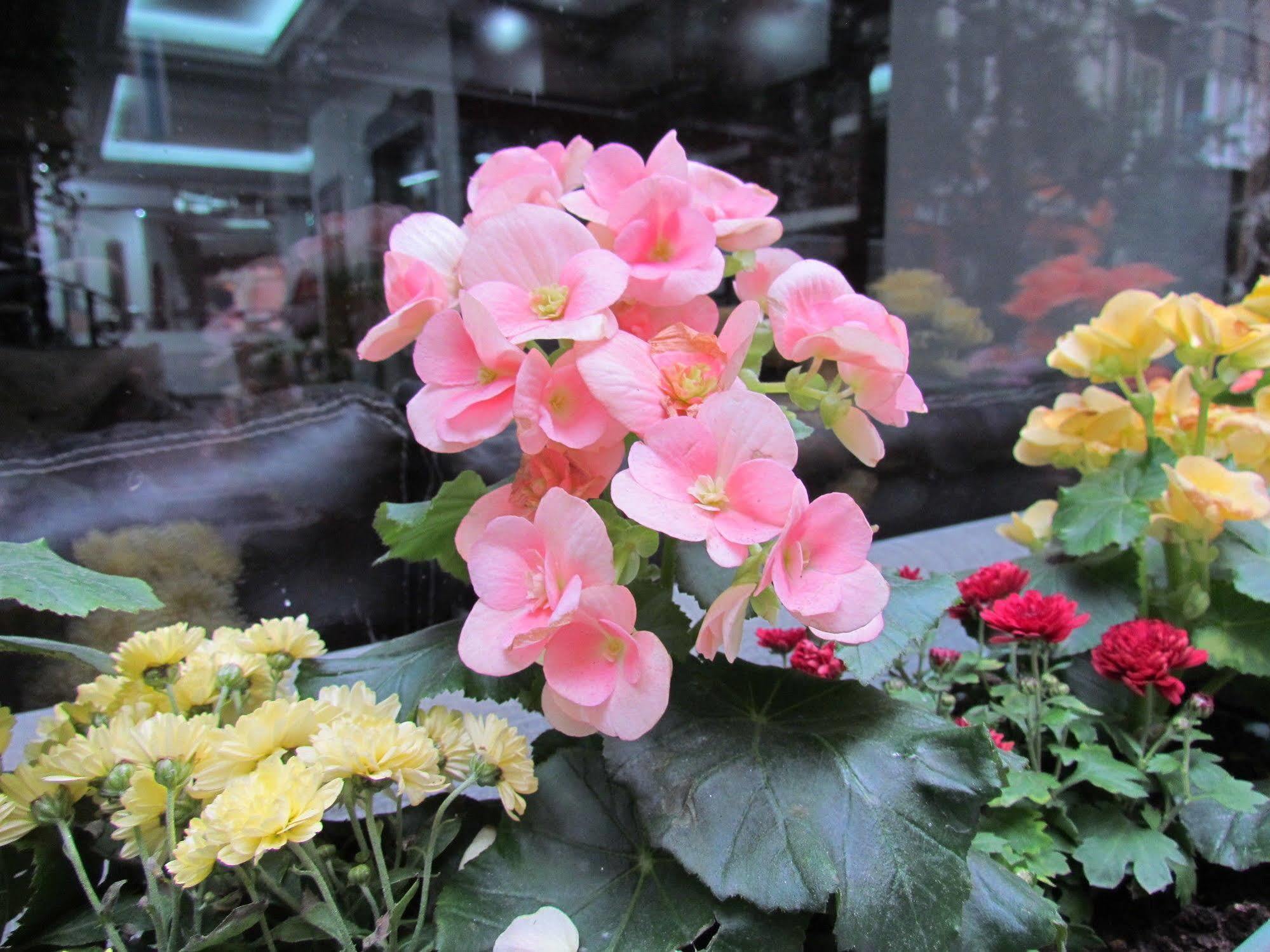Promise Hotel İstanbul Dış mekan fotoğraf